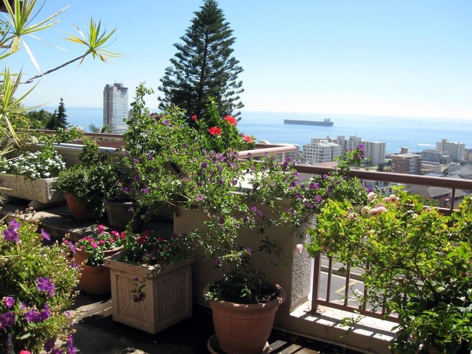 123 Ocean View Drive Apartment Cape Town Bagian luar foto