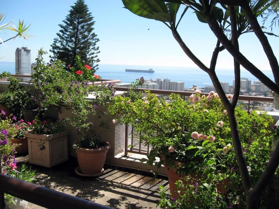 123 Ocean View Drive Apartment Cape Town Bagian luar foto
